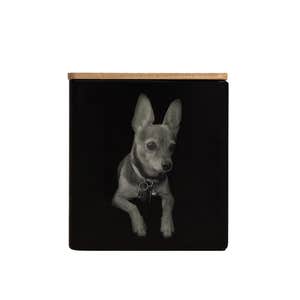 Image credits: taja collection