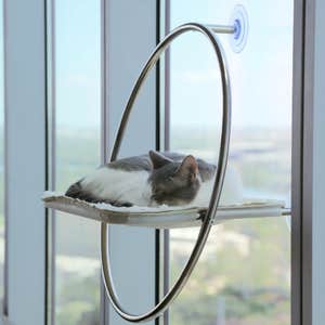 Catenary Home Orbit Cat Window Hammock