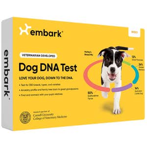 Image credits: embark