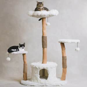Mau Leone Cat Tree