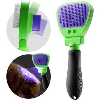 Image credits: chewy