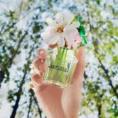Spring Fragrances