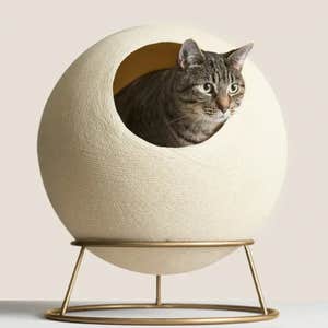 Tuft & Paw Stellar Modern Cat Bed