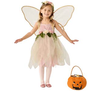 Pottery Barn Kids Light-Up Gala Fairy Costume