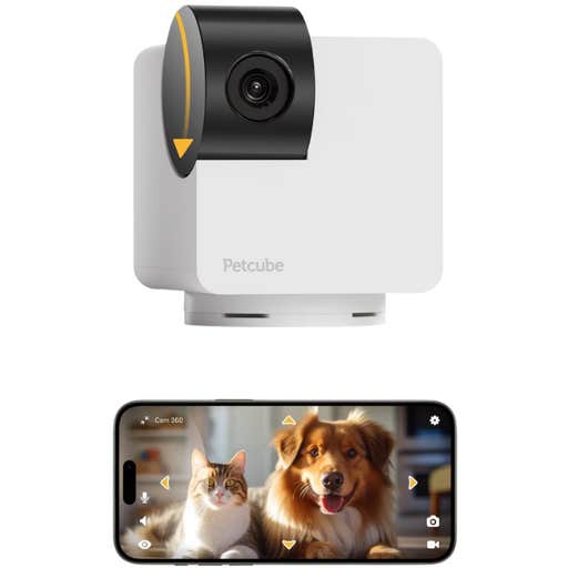 chewy, Petcube Cam 360