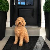 Porte + Hall Proves Great Design Starts at the Door