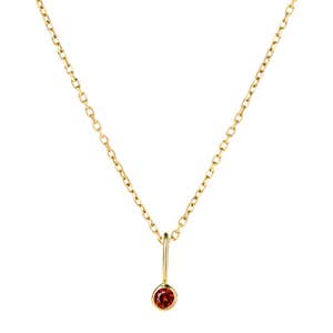 Ana Luisa Birthstone Necklace