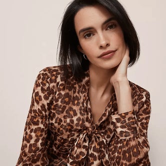 Image credits: ann taylor