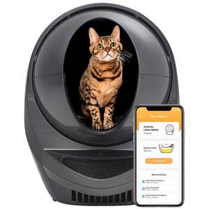 Whisker Litter-Robot 3 Automatic Self-Cleaning Cat Litter Box