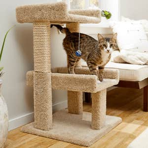 Frisco 32-in Real Carpet Solid Wood Cat Tree with Toy