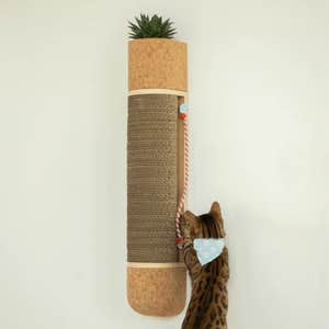 Flower Pawer Pole Scratcher