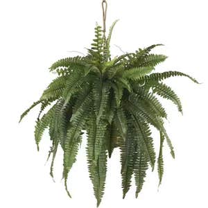 Nearly Natural Large Artificial Boston Fern Hanging Basket
