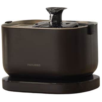 Image credits: chewy