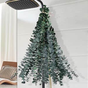 Image credits: amazon