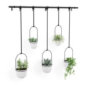 Umbra Hanging Planter