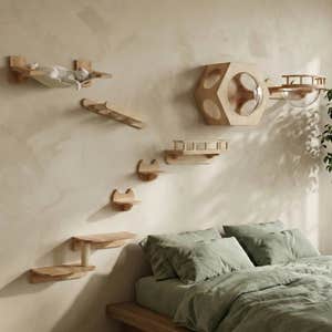 Petomg Hexagonal Wall-Mounted Cat Furniture Set