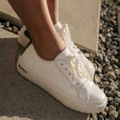 Image credits: seavees