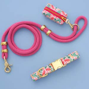 Matching Walk Set Bundle - Collar, Leash & Bag Pouch