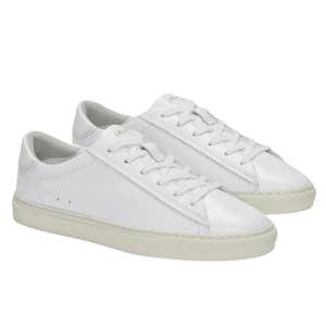 Everlane The Day Sneaker