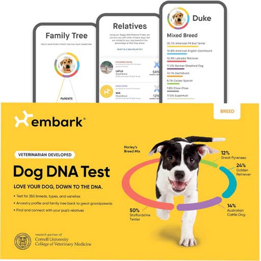 amazon, Embark Dog DNA Kit