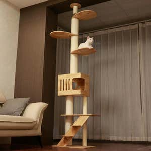 Petomg Floor to Ceiling Cat Tree