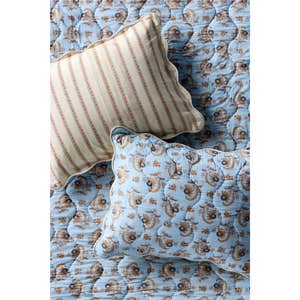 anthropologie, AnthroHome Iluka 100% Cotton Gauze Shams, Set of 2