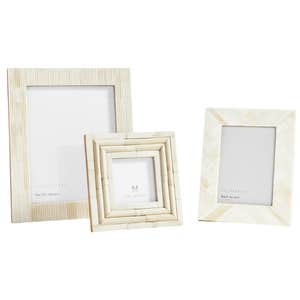 bone frame picture set on white background
