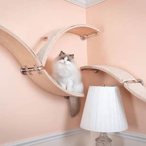 Modular Cat Furniture, 4-Curved Cat Shelves, The Eagle Extended