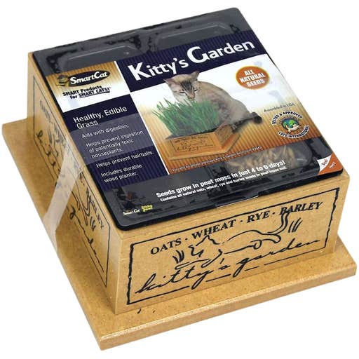 chewy, Smartcat Kitty's Garden Cat Grass Kit (Indoor)