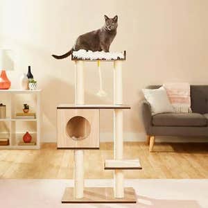 Frisco 47.5-in Modern Cat Tree & Condo