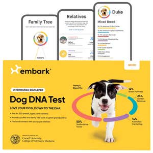 Embark Breed Identification Dog DNA Test Kit
