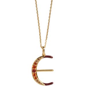 Local Eclectic, Local Eclectic Twisting Shimmer Ombre Letter Necklace