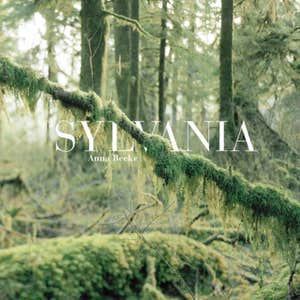 amazon.com, Sylvania