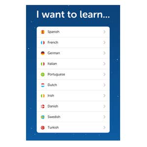 duolingo.com, Duolingo
