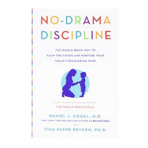 amazon.com, The Wonder of Boys and No Drama Discipline