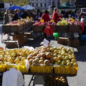 panoramio.com, Local Farmers' Markets