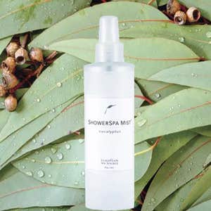 europeanspasource.com, European Spa Source Eucalyptus ShowerSpa Mist