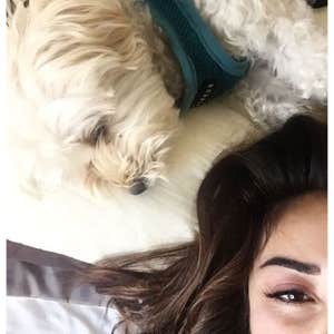 Oliver (my maltipoo)