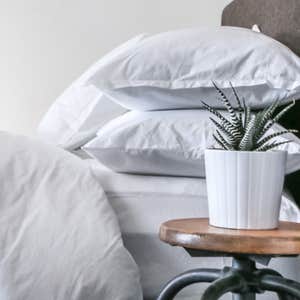 parachutehome.com, Parachute Venice Bedding Sets