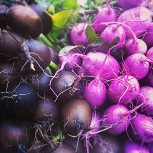 @bkgreenmarkets on Instagram, Fort Greene Park Greenmarket