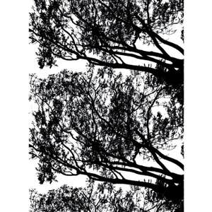 marimekko.com, Marimekko's Tuuli Fabric