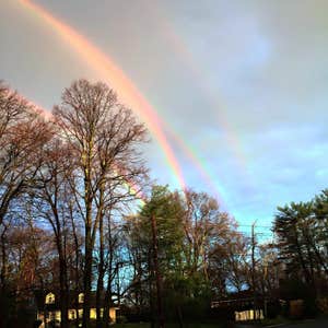 nineteenthamendment.com, Quadruple Rainbow