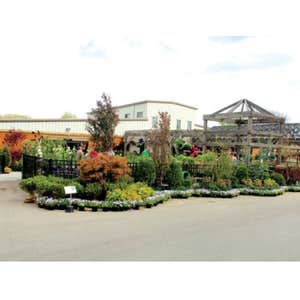 familytreenursery.com, Family Tree Nursery
