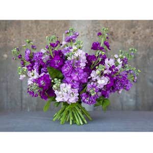 @millefioriflowers, Flowers from Rene at Mille Fiori Flowers