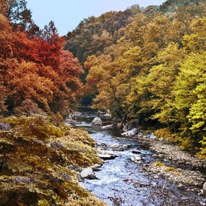 fineartamerica.com, Wissahickon Valley Trail, Philadelphia