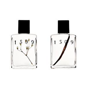 1509 Fragrance Clove of Sage