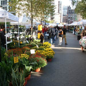 vanhoutenfarmsny.com, Union Square Greenmarket