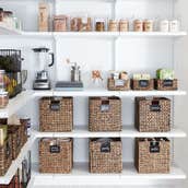 The Most Useful Bins And Containers For An Organized Panty