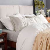 Products On Amazon With Over 10,000 Reviews