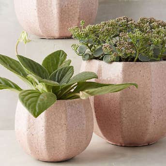 Anthropologie Ridged Terracotta Pot
